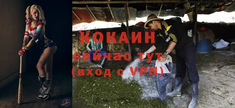 Cocaine Боливия  Будённовск 